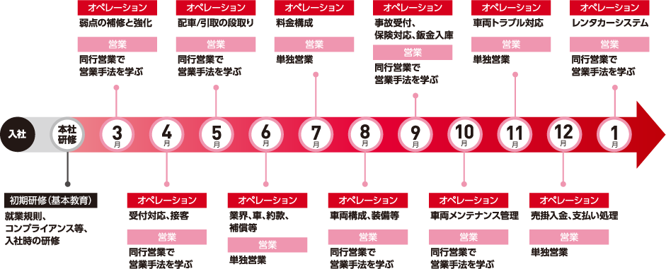 新入社員の研修・成長スケジュールを示すタイムライン図。入社後、本社研修（基本教育）を経て、各月ごとにオペレーション（業務習得）と営業活動が割り当てられている。3月から1月にかけて、接客対応、車両管理、レンタカーシステム習得など段階的に業務を学ぶ流れになっている。