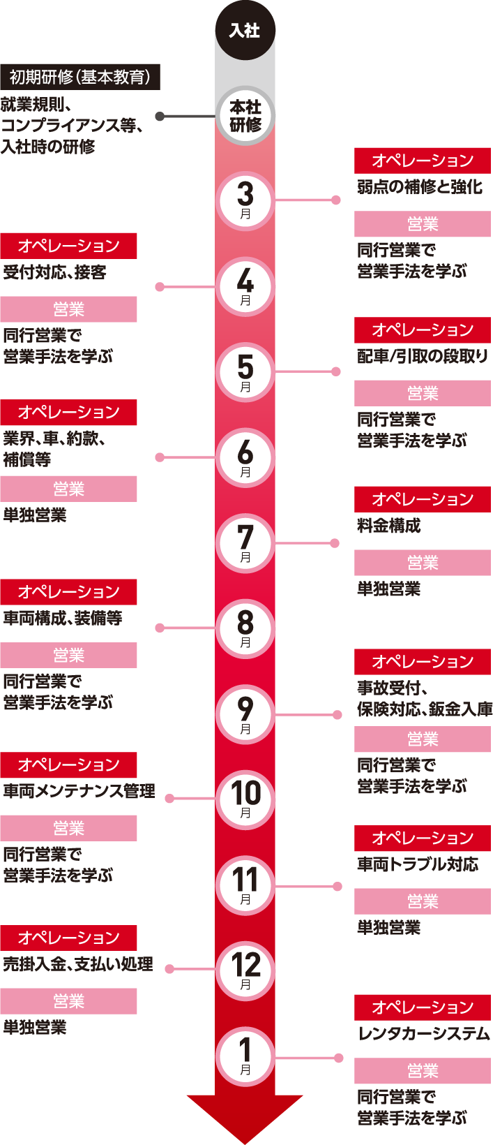 新入社員の研修・成長スケジュールを示すタイムライン図。入社後、本社研修（基本教育）を経て、各月ごとにオペレーション（業務習得）と営業活動が割り当てられている。3月から1月にかけて、接客対応、車両管理、レンタカーシステム習得など段階的に業務を学ぶ流れになっている。